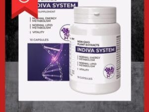 InDiva System